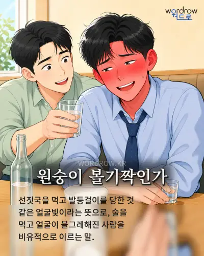 한국어 속담 “원숭이 볼기짝인가” 1컷 일러스트