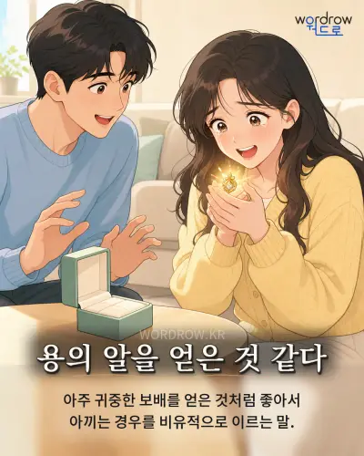 한국어 속담 “용의 알을 얻은 것 같다” 1컷 일러스트