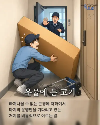 한국어 속담 “우물에 든 고기” 1컷 일러스트