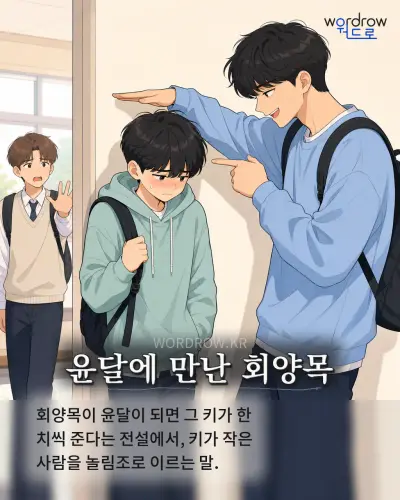 한국어 속담 “윤달에 만난 회양목”를 한 장면으로 담은 1컷 일러스트