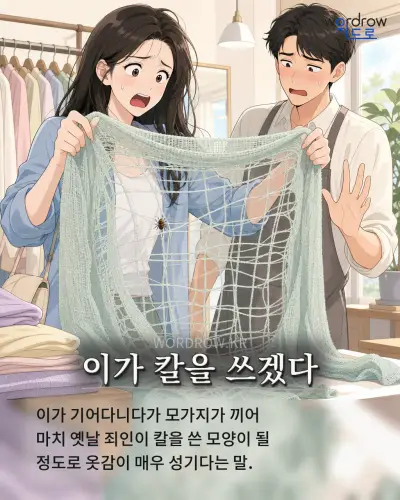 한국어 속담 “이가 칼을 쓰겠다” 1컷 일러스트