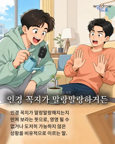 한국어 속담 “인경 꼭지가 말랑말랑하거든” 1컷 일러스트