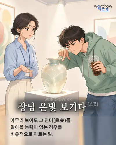 한국어 속담 “장님 은빛 보기다[보듯]” 1컷 일러스트