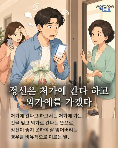 한국어 속담 “정신은 처가에 간다 하고 외가에를 가겠다” 1컷 일러스트