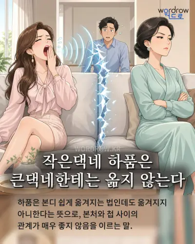한국어 속담 “작은댁네 하품은 큰댁네한테는 옮지 않는다” 1컷 일러스트