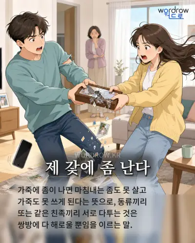 한국어 속담 “제 갗에 좀 난다” 1컷 일러스트