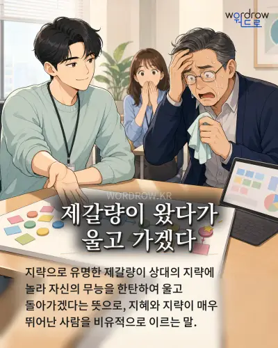 한국어 속담 “제갈량이 왔다가 울고 가겠다” 1컷 일러스트