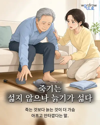 한국어 속담 “죽기는 섧지 않으나 늙기가 섧다” 1컷 일러스트