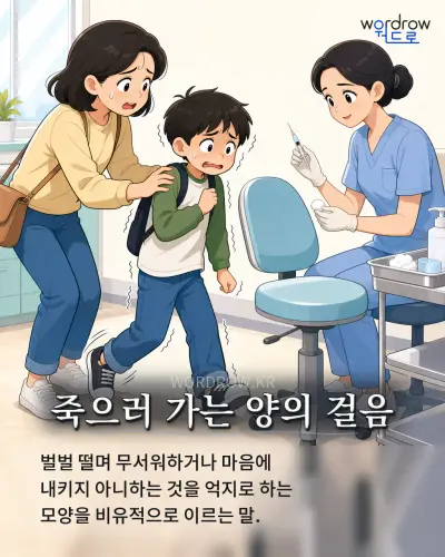 한국어 속담 “죽으러 가는 양의 걸음” 1컷 일러스트