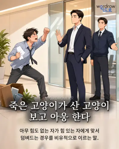 한국어 속담 “죽은 고양이가 산 고양이 보고 아웅 한다” 1컷 일러스트