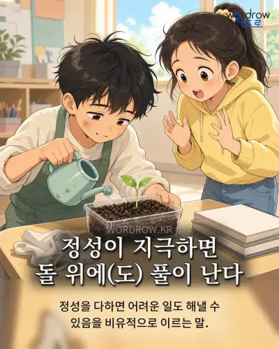 한국어 속담 “정성이 지극하면 돌 위에(도) 풀이 난다” 1컷 일러스트