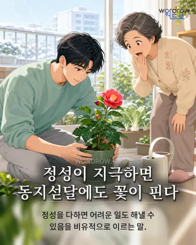 한국어 속담 “정성이 지극하면 동지섣달에도 꽃이 핀다” 1컷 일러스트