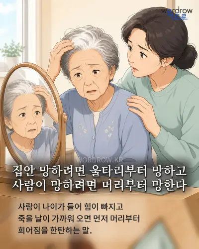 한국어 속담 “집안 망하려면 울타리부터 망하고 사람이 망하려면 머리부터 망한다” 1컷 일러스트