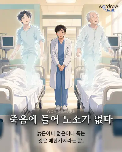 한국어 속담 “죽음에 들어 노소가 없다” 1컷 일러스트