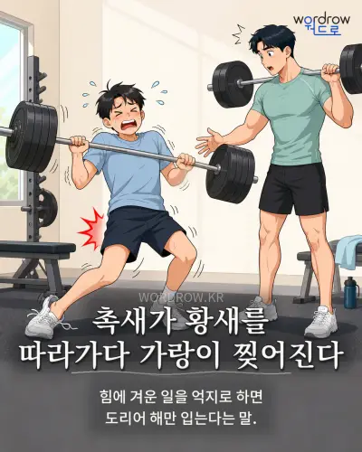 한국어 속담 “촉새가 황새를 따라가다 가랑이 찢어진다” 1컷 일러스트