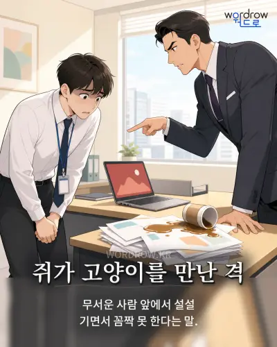 한국어 속담 “쥐가 고양이를 만난 격” 1컷 일러스트