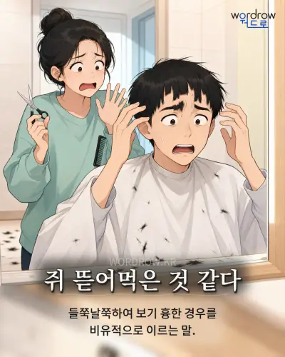 한국어 속담 “쥐 뜯어먹은 것 같다” 1컷 일러스트