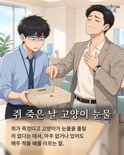 한국어 속담 “쥐 죽은 날 고양이 눈물” 1컷 일러스트