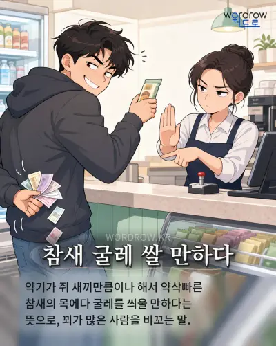 한국어 속담 “참새 굴레 쌀 만하다” 1컷 일러스트