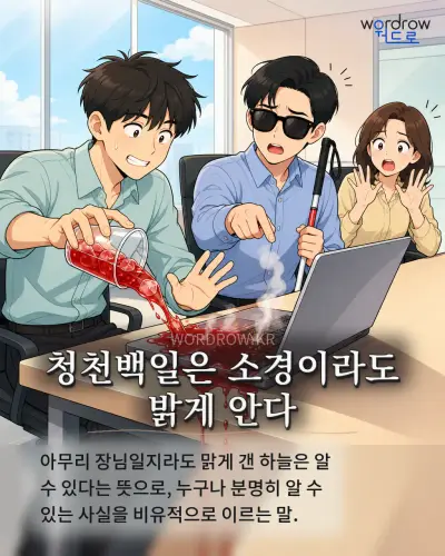 한국어 속담 “청천백일은 소경이라도 밝게 안다” 1컷 일러스트