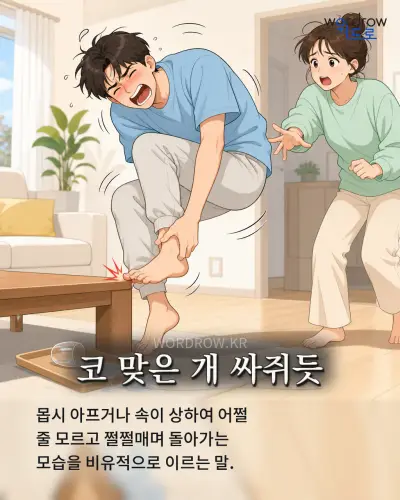 한국어 속담 “코 맞은 개 싸쥐듯” 1컷 일러스트