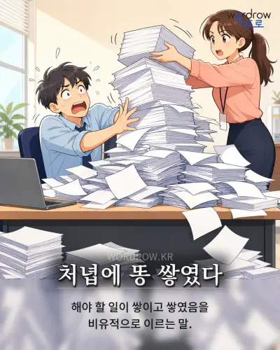 한국어 속담 “처녑에 똥 쌓였다” 1컷 일러스트