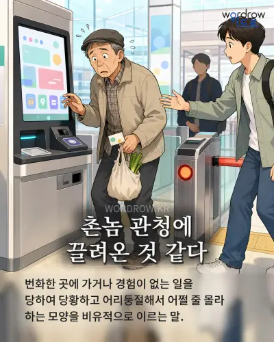 한국어 속담 “촌놈 관청에 끌려온 것 같다” 1컷 일러스트