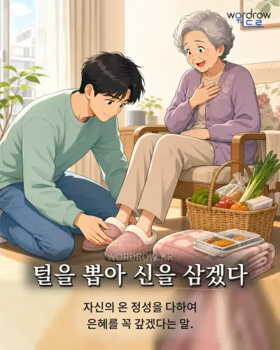 한국어 속담 “털을 뽑아 신을 삼겠다” 1컷 일러스트