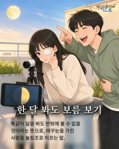 한국어 속담 “한 달 봐도 보름 보기” 1컷 일러스트