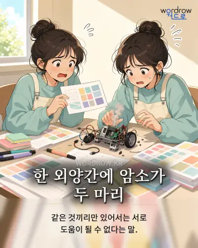 한국어 속담 “한 외양간에 암소가 두 마리” 1컷 일러스트
