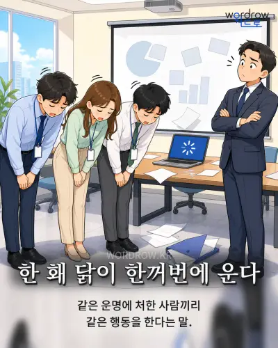 한국어 속담 “한 홰 닭이 한꺼번에 운다” 1컷 일러스트