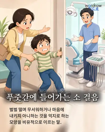 한국어 속담 “푸줏간에 들어가는 소 걸음” 1컷 일러스트