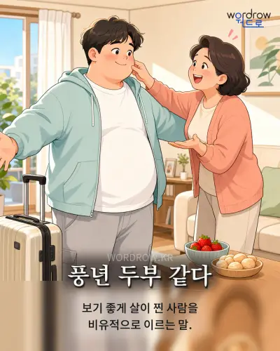 한국어 속담 “풍년 두부 같다” 1컷 일러스트
