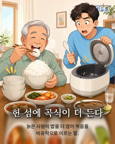 한국어 속담 “헌 섬에 곡식이 더 든다” 1컷 일러스트