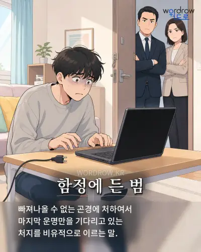 한국어 속담 “함정에 든 범” 1컷 일러스트
