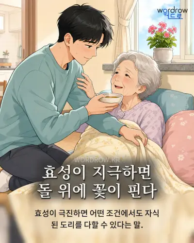 한국어 속담 “효성이 지극하면 돌 위에 꽃이 핀다” 1컷 일러스트