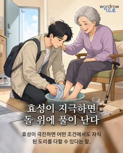 한국어 속담 “효성이 지극하면 돌 위에 풀이 난다” 1컷 일러스트