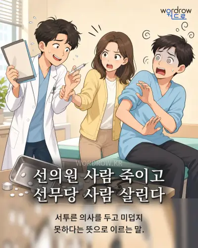 한국어 속담 “선의원 사람 죽이고 선무당 사람 살린다” 1컷 일러스트