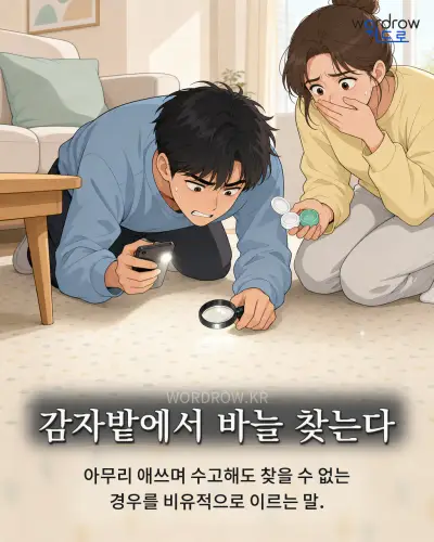 한국어 속담 “감자밭에서 바늘 찾는다” 1컷 일러스트