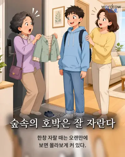 한국어 속담 “숲속의 호박은 잘 자란다” 1컷 일러스트