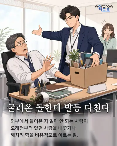 한국어 속담 “굴러온 돌한테 발등 다친다” 1컷 일러스트