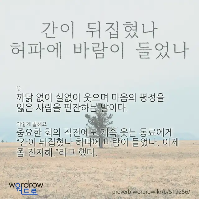 “간이 뒤집혔나 허파에 바람이 들었나” 글씨와 뜻·예문이 완성된 속담 영상 포스터
