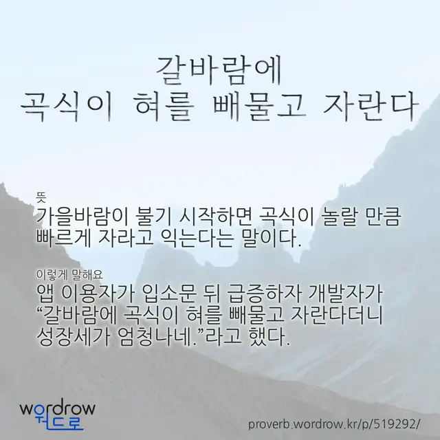 “갈바람에 곡식이 혀를 빼물고 자란다” 글씨와 뜻·예문이 완성된 속담 영상 포스터