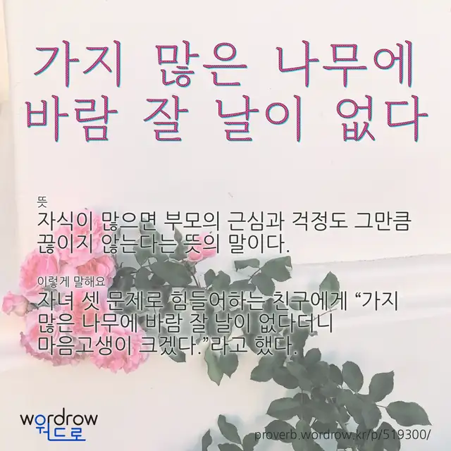 “가지 많은 나무에 바람 잘 날이 없다” 글씨와 뜻·예문이 완성된 속담 영상 포스터