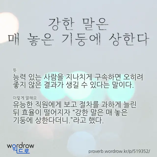 “강한 말은 매 놓은 기둥에 상한다” 글씨와 뜻·예문이 완성된 속담 영상 포스터