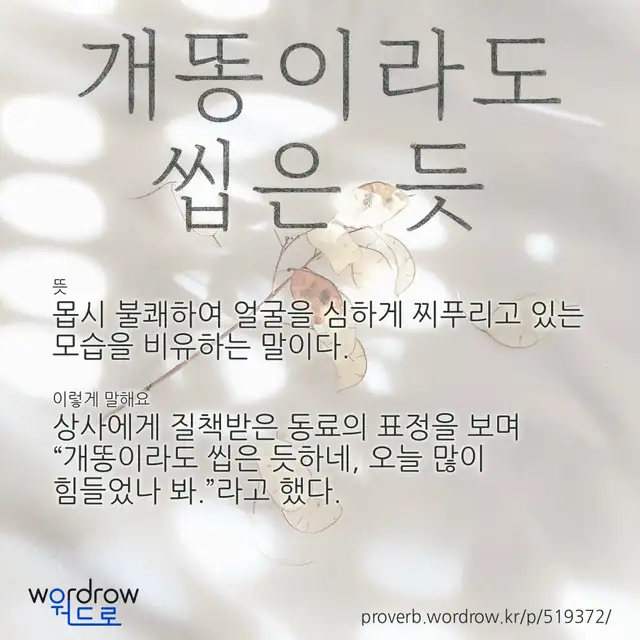 “개똥이라도 씹은 듯” 글씨와 뜻·예문이 완성된 속담 영상 포스터