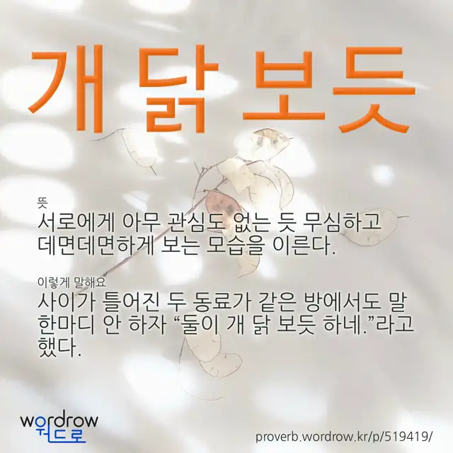 “개 닭 보듯” 글씨와 뜻·예문이 완성된 속담 영상 포스터