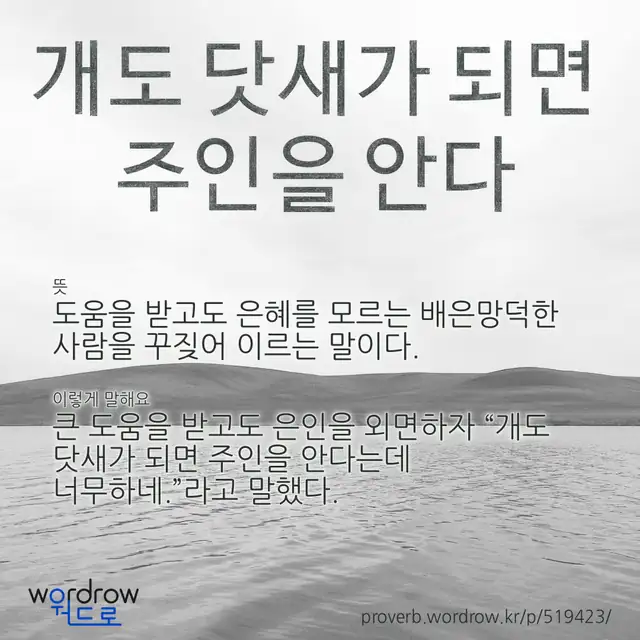 “개도 닷새가 되면 주인을 안다” 글씨와 뜻·예문이 완성된 속담 영상 포스터