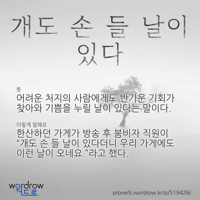 “개도 손 들 날이 있다” 글씨와 뜻·예문이 완성된 속담 영상 포스터