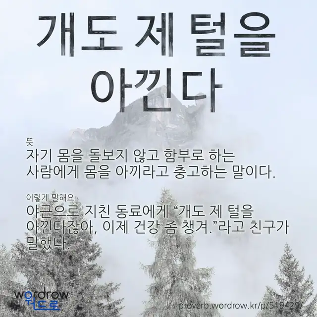 “개도 제 털을 아낀다” 글씨와 뜻·예문이 완성된 속담 영상 포스터